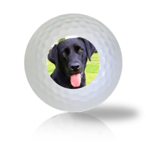 Black Lab Golf Balls