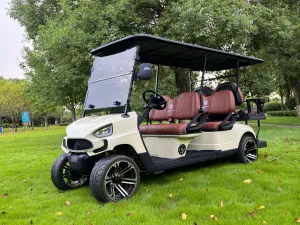 COOLBABY TXV42 A Durable 48V 6 Passenger Golf Cart, Adult 6 Seater Buggy Adventures