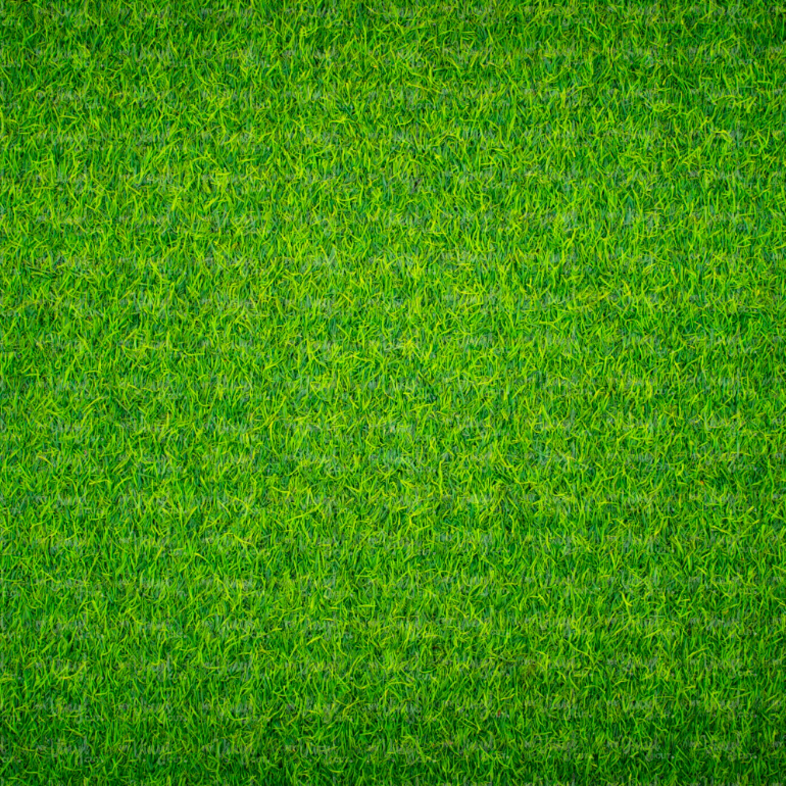 Printed Adhesive Vinyl ASTRO TURF Pattern 12 x 12 inch sheet