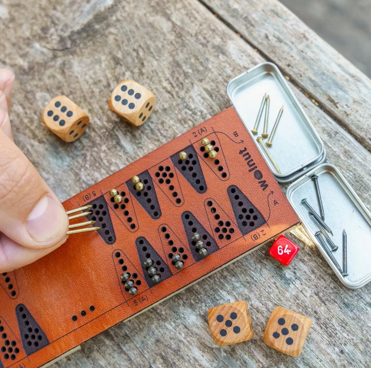 Travel Backgammon