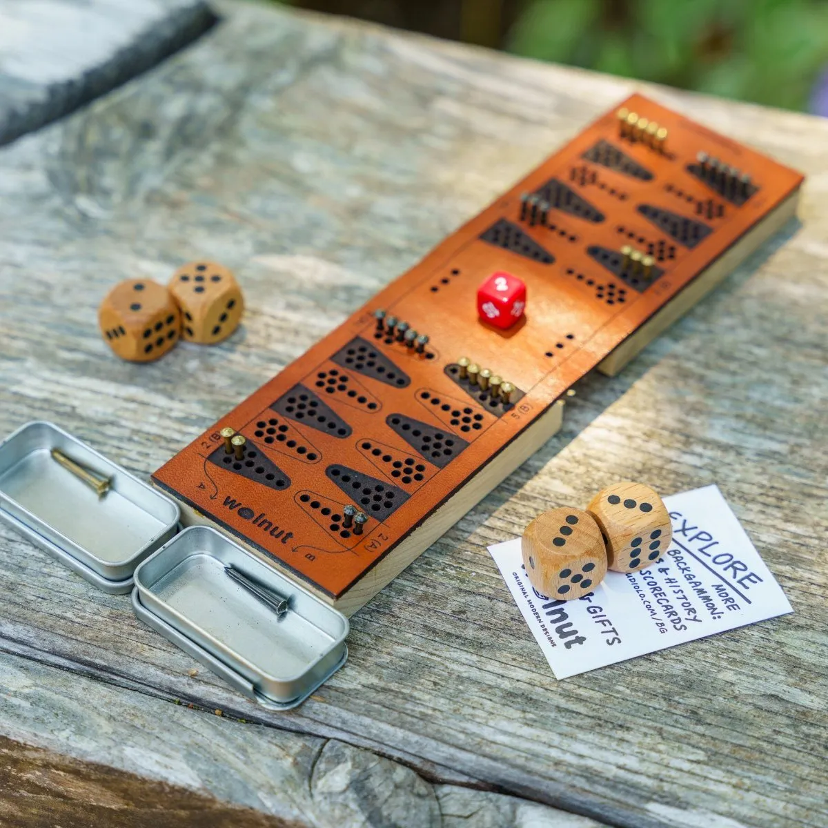 Travel Backgammon