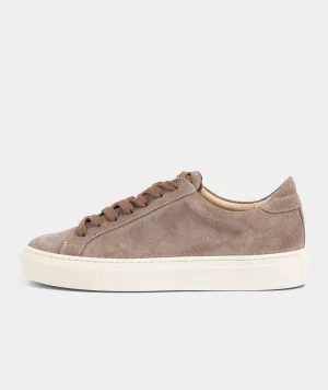 Type - Ardesia Suede